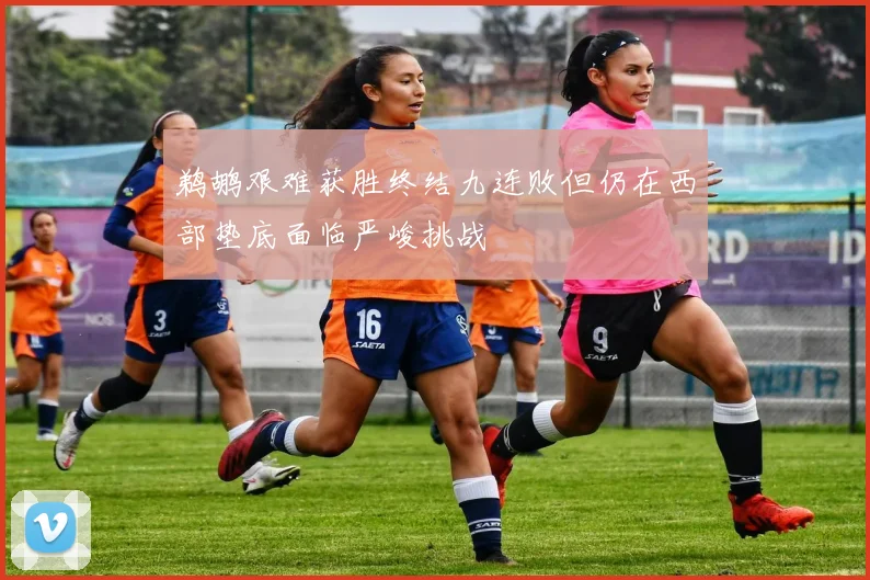 鹈鹕艰难获胜终结九连败但仍在西部垫底面临严峻挑战