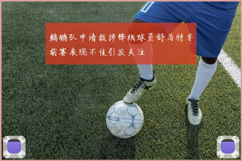 鹈鹕队申请裁掉锋线球员舒马特季前赛表现不佳引发关注