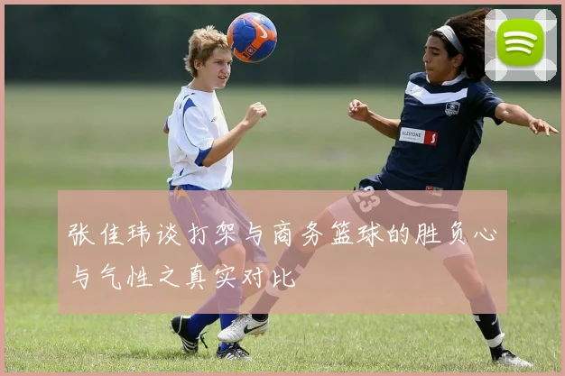 张佳玮谈打架与商务篮球的胜负心与气性之真实对比