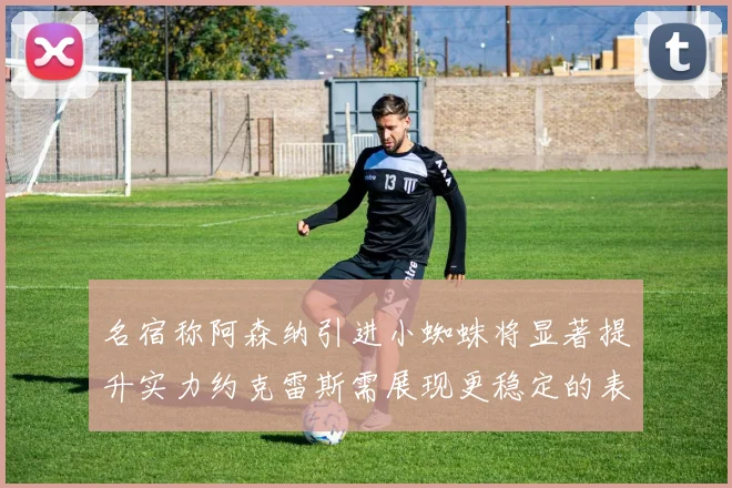 名宿称阿森纳引进小蜘蛛将显著提升实力约克雷斯需展现更稳定的表现